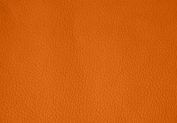 11 orange