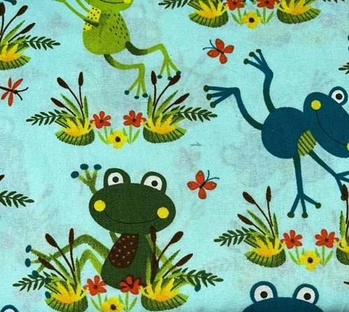 B13 Frosch